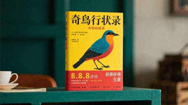 奇鸟行状录获豆瓣 8.8 高分资源