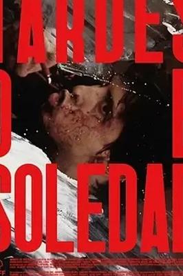 金贝壳奖纪录片孤寂午后高清资源解析