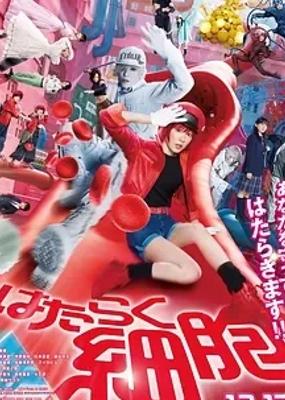 《工作细胞真人版》人体微观世界的奇幻冒险