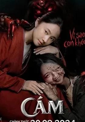 《阿糠》：探秘越南恐怖佳作背后的惊悚真相