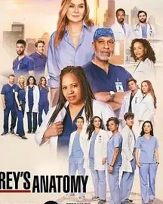 《实习医生格蕾》第二十一季：医疗职场的深度剖析