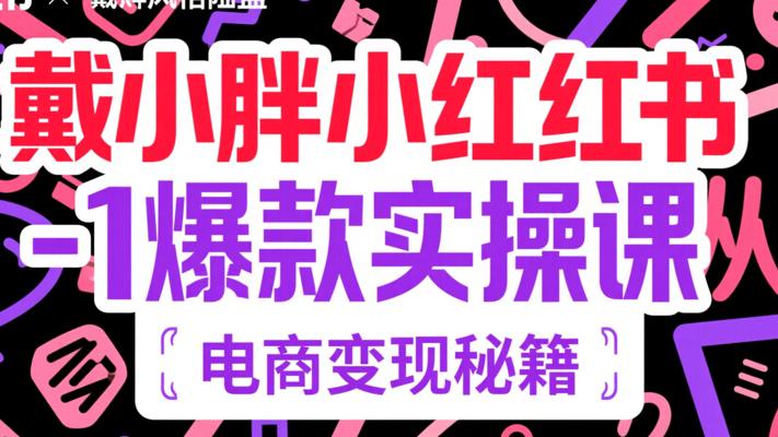戴小胖小红书从0-1爆款实操课：电商变现秘籍