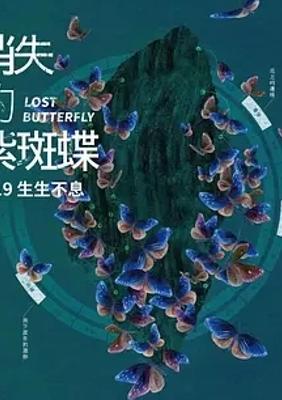 2023纪录片消失的紫斑蝶珍稀昆虫保护佳作