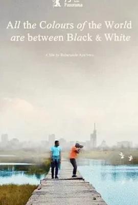 尼日利亚佳作黑白之间是彩色世界赏析