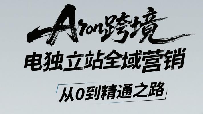 Aron跨境电商独立站全域营销：从0到精通之路