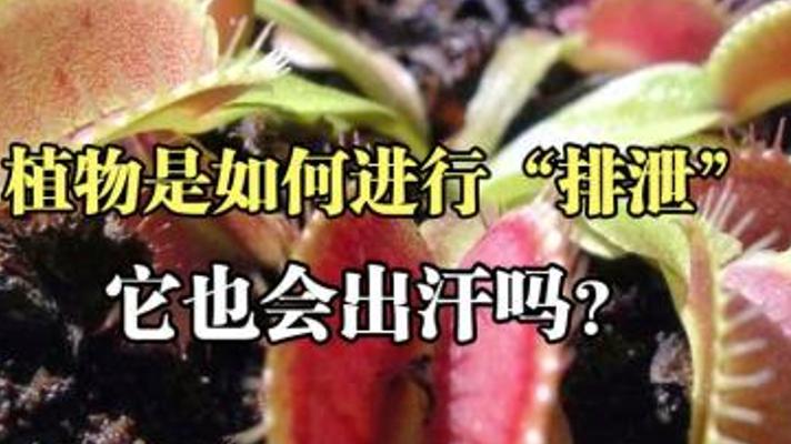 植物是否像动物一样会排便的奇妙探索