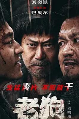 2025国产动作喜剧老狗精彩剧情全解析