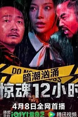 2025国产佳作暗潮汹涌之惊魂12小时解析