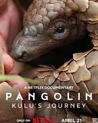 《穿山甲Kulu的旅程》：珍稀动物的生命传奇