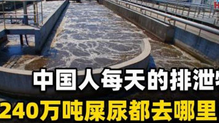 探秘十四亿人每日240万吨粪便的奇妙处理之旅