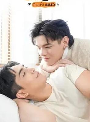 《猫男》：奇幻设定下的甜蜜爱恋与深度故事