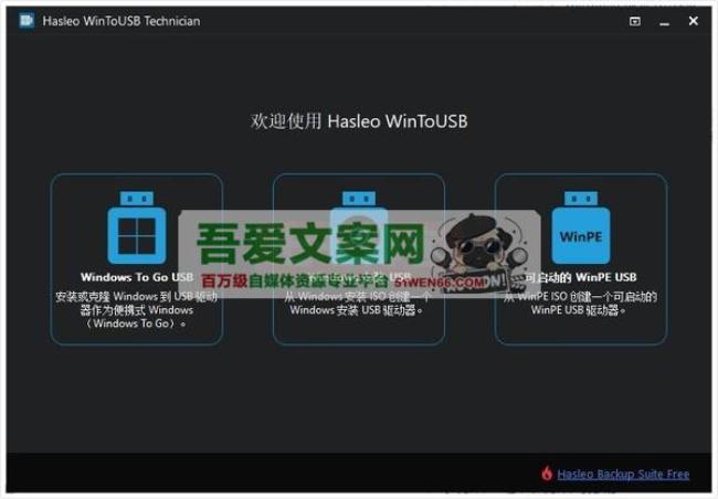 Hasleo WinToUSB U盘安装系统工具_V9.8.0 PC技术员版