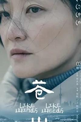 《苍山》：2023高分国产片1080P资源揭秘