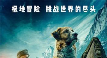 佳片有约|《野性的召唤》不仅是对人性的孤苦探究