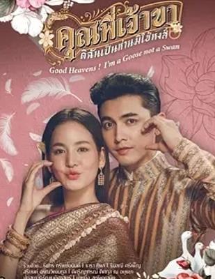 《兄长我是鹅不是天鹅》：穿越古今的奇幻爱恋