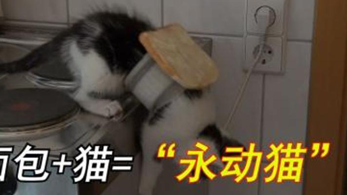 黄油猫悖论与永动机幻想背后的趣味科学故事