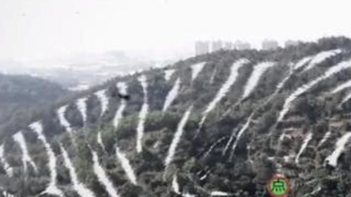 风水危机！叶家祖坟变故与李成风的惊险解难之旅