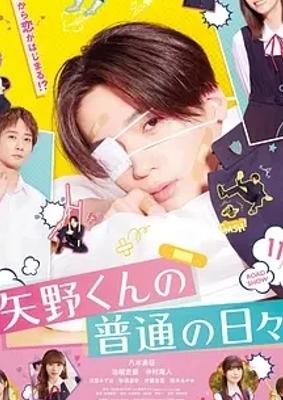 2024日影矢野同学的普通日常青春喜剧佳作