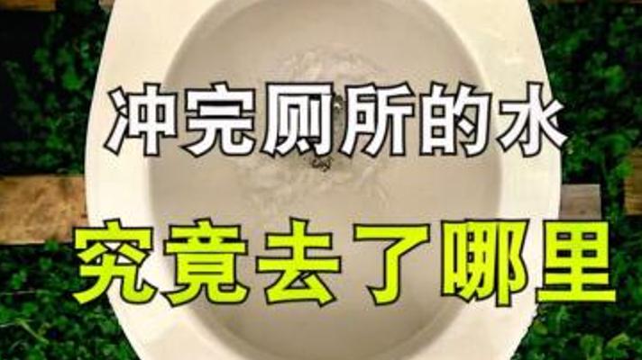 探秘冲厕水奇幻之旅：从马桶到回归的奇妙循环