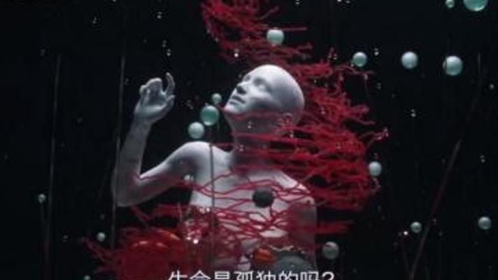 探秘外星人博物馆：解码宇宙生命形态的奇妙可能