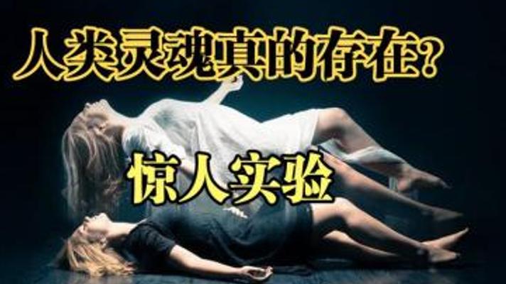 探秘人类灵魂之谜与网页内容缺失的奇妙故事