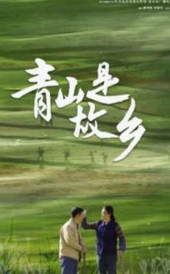 《青山是故乡》：返乡创业奏响乡村振兴之歌