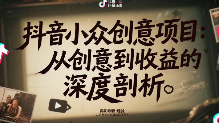 抖音小众创意项目：从创意到收益的深度剖析