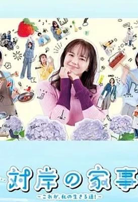 《对岸的家务事》：家务背后的家庭百态与生存哲思