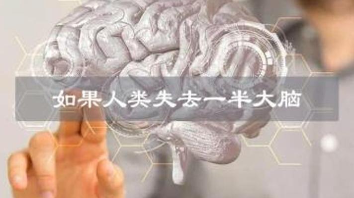 探秘失去一半大脑能否存活的医学奇迹故事
