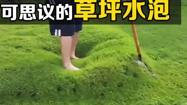 揭秘草坪水泡形成之谜与神奇弹性现象