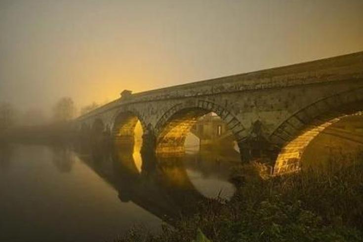 《午夜蚊子的致命印记：校园惊魂谜影》