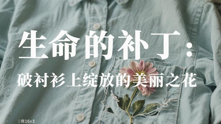 生命的补丁：破衬衫上开出的美丽花