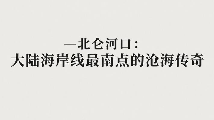 北仑河口中国大陆海岸线最南点的沧海传奇