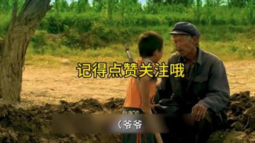 《告诉他们，我乘白鹤去了》：生死执念下的乡土悲歌