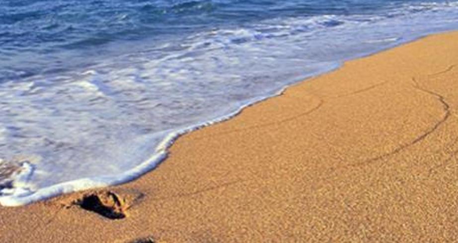 灵狐：宋时妖画作祟，狐员外家暗藏血色玄机