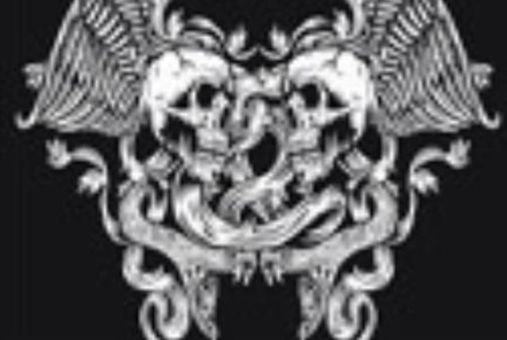 收藏家的禁忌密室：蝴蝶幼虫与头骨的恐怖共生