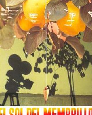 《榅桲树阳光》：一棵植物见证的父女情感与生命隐喻