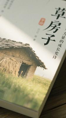 《草房子》：充满诗意与力量的成长史诗