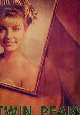 《双峰：遗失的碎片》：探秘神秘案件背后真相