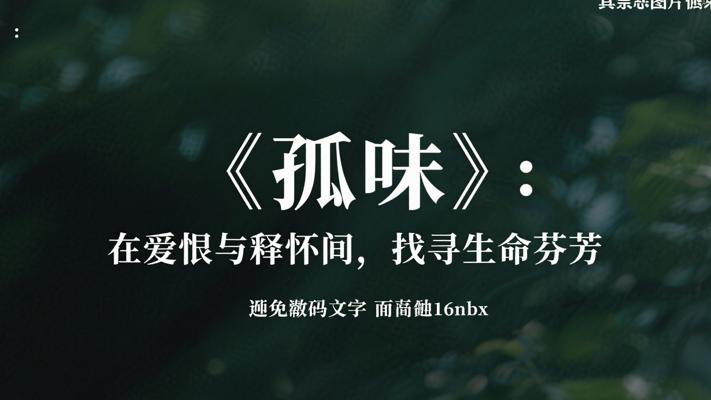 《孤味》：爱恨交织的人生百味，在放手释怀间找寻生命芬芳