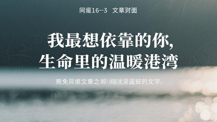 我最想依靠的你生命里的温暖港湾