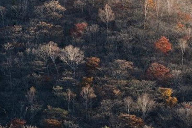 《滇闽蛊祸：金蚕毒引下的孽缘与三美救夫记》