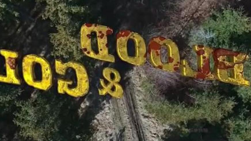 《血黄金》：战火淬炼的黄金迷局与人性救赎