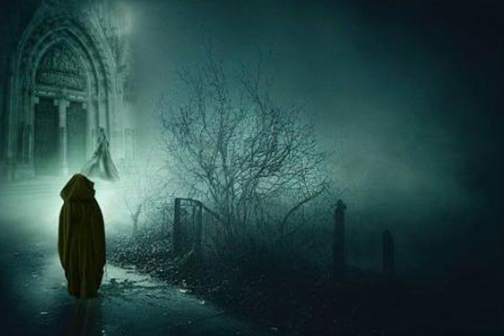 《独臂羽客的双面迷局：爱与疯狂的致命博弈》