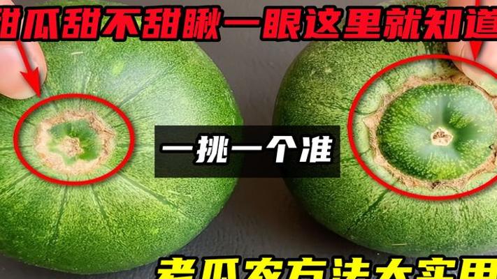 老瓜农教你挑甜瓜：瞅准这几点，一挑一个准超甜！