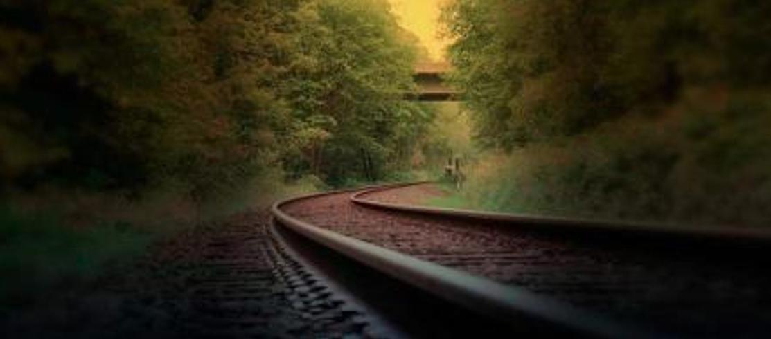 华工大学20号楼电梯：锈笼里的血色回响