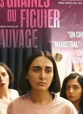 《神圣无花果之种》：伊朗电影深度剖析家庭与社会困境