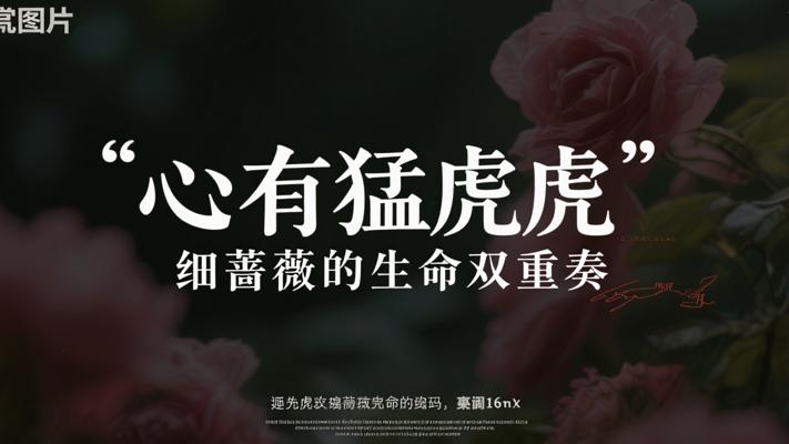 心有猛虎细嗅蔷薇的生命双重奏