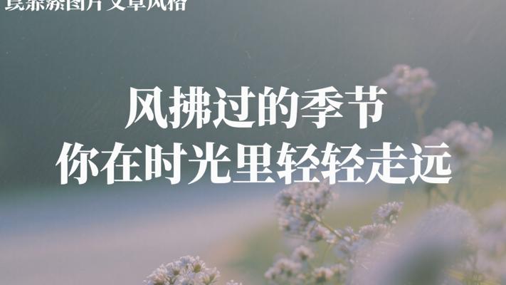 风拂过的季节 你在时光里轻轻走远