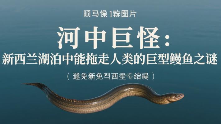 河中巨怪：新西兰湖泊中能拖走人类的巨型鳗鱼之谜